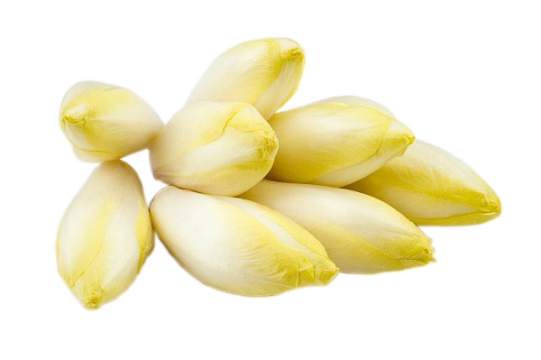 Endives