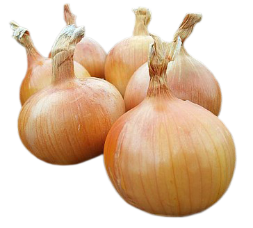 Oignons