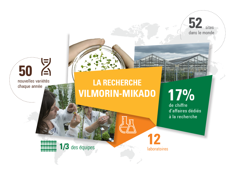 la recherche vilmorin mikado