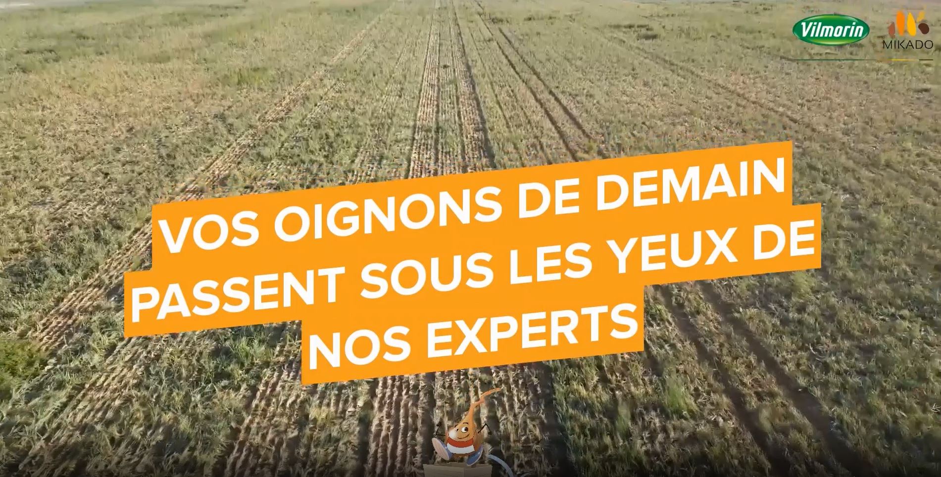 Video vos oignons passent sous les yeux de nos experts
