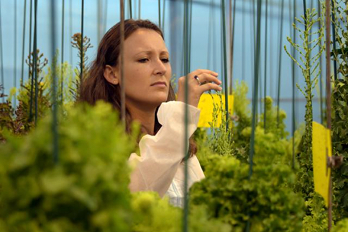 Être proche des besoins des producteurs