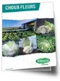 Brochure chou-fleur