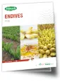 Brochure endives 2026