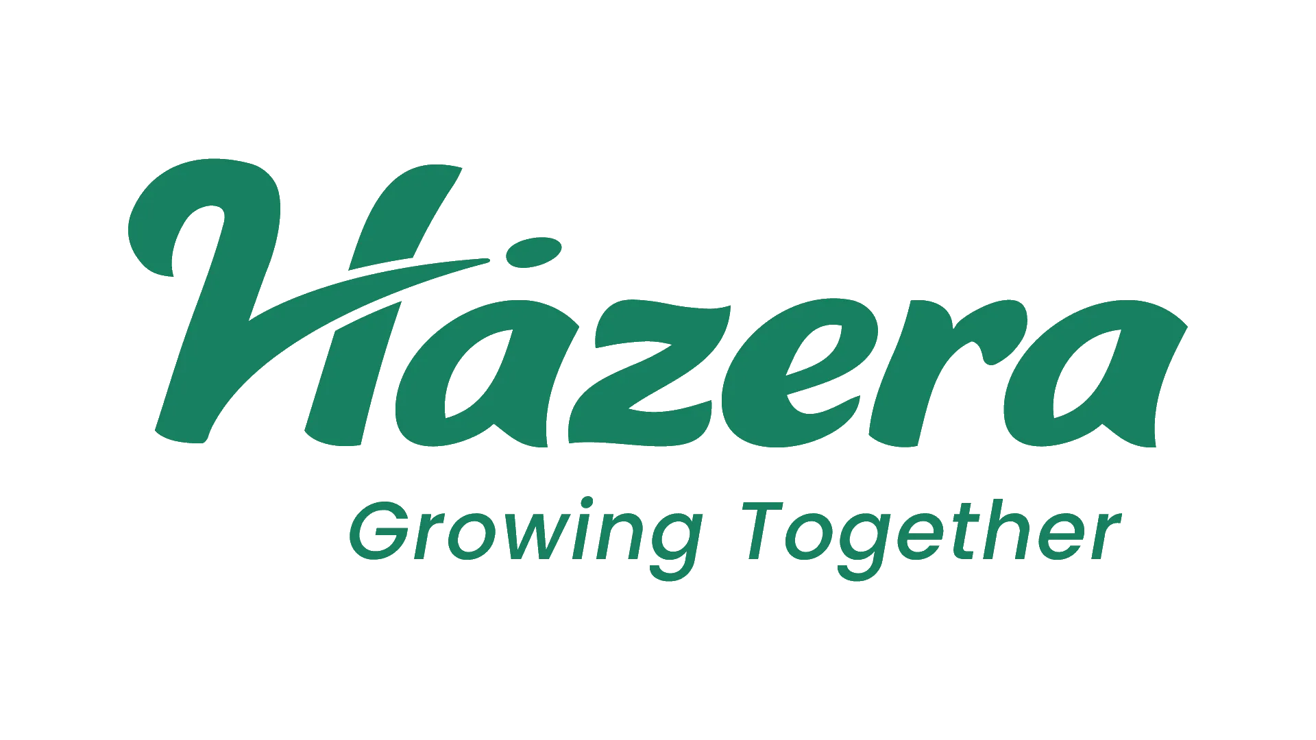 hazera